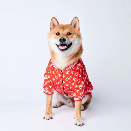 Supreme 犬服 おしゃれ